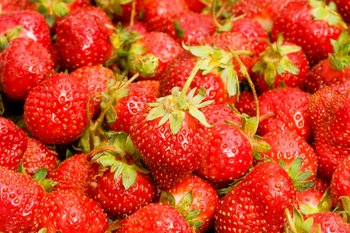 Frische Erdbeeren